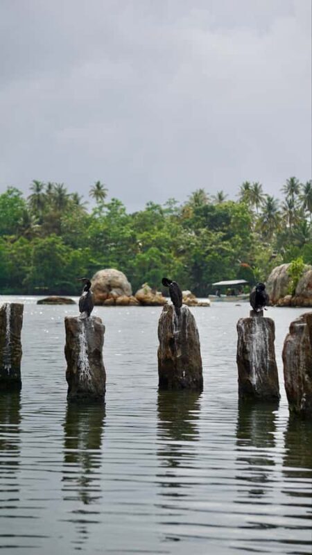 Explore Galle's Hidden Gems & Dine with Locals - Transportation & Timing