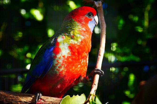 Explore gardens & galleries filled with incredible art, Matakana - Who Will Love This Tour?