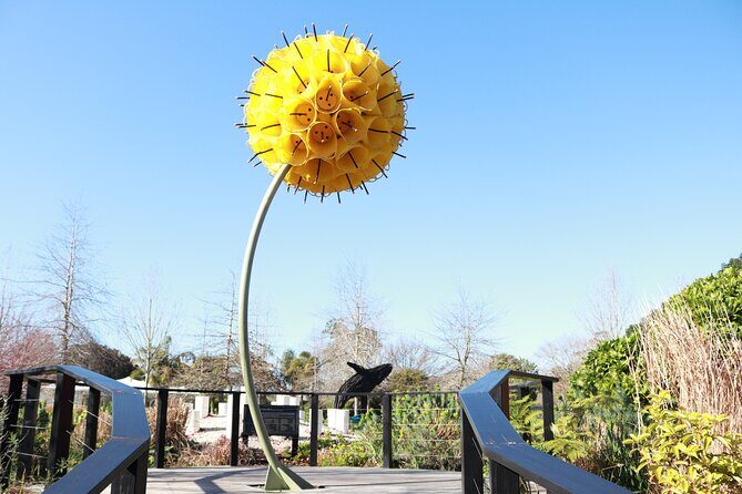 Explore gardens & galleries filled with incredible art, Matakana - FAQ
