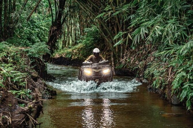 Explore Gorilla Cave by ATV in Ubud - Monkey Forest and Waterfall - A Full Breakdown of the Tour Experience