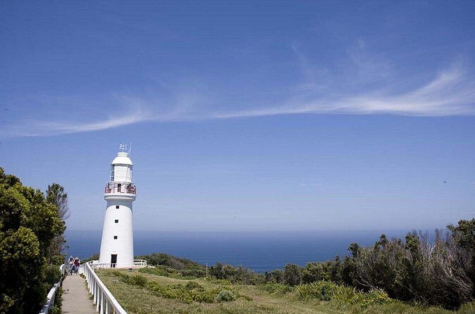 Explore Great Ocean Road and Twelve Apostles Private Tour - Analyzing the Value of the Tour