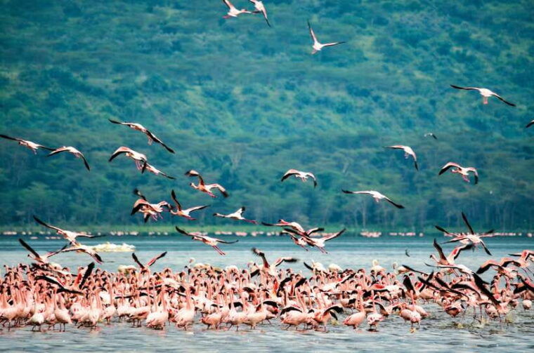 explore-great-sri-lanka-with-tourist-hot-spots-in-6-days