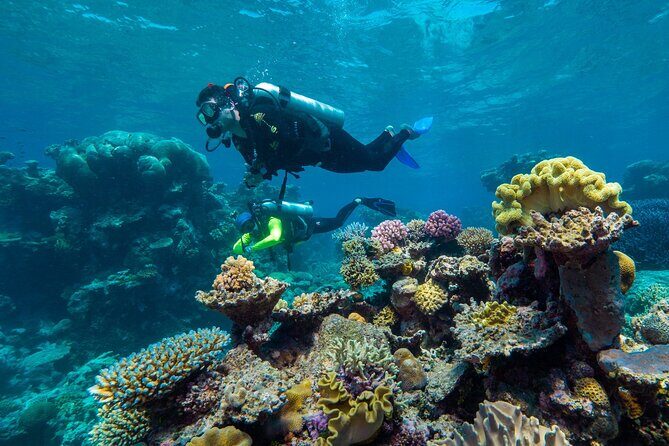 Explore Green Island with Diving options from Cairns - Why the Experience Works