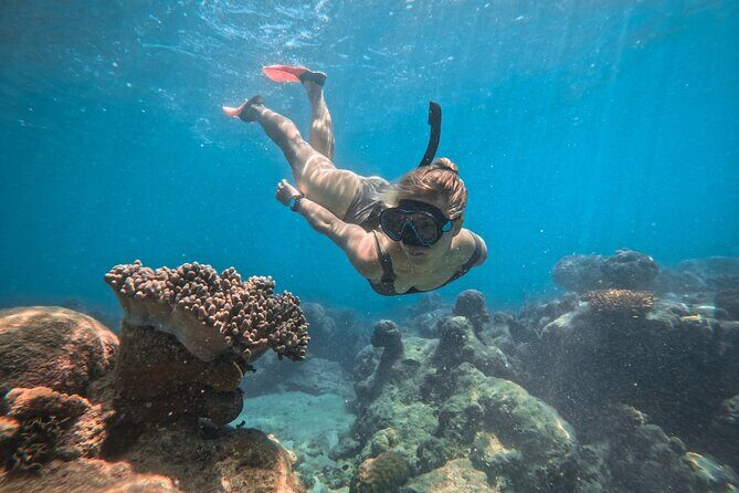 Explore Green Island with Diving options from Cairns - Practical Tips for Your Trip