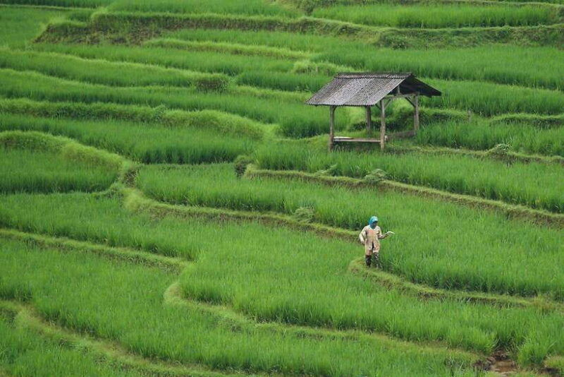 explore-ha-giang-ma-pi-leng-nho-que-river-3-days-2-nights