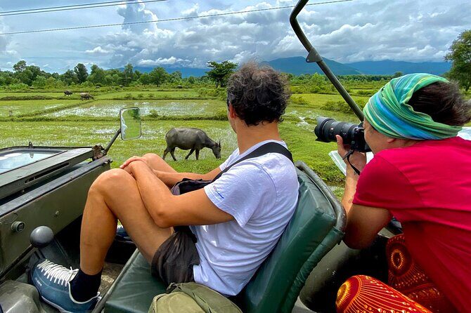 Explore Hai Van Pass By Jeep with Pick-up from Da Nang to Hue - Who Is This Tour Best For?