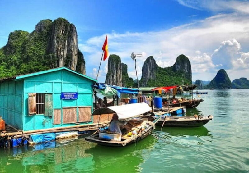 Explore Halong Bay 4 hours with Scenic Cruise, Kayak, Cave - Who Should Book This Tour?