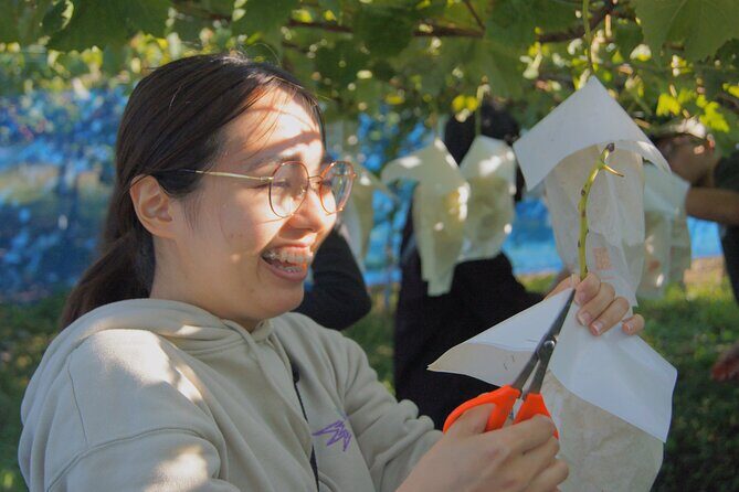 Explore Hidden Japan: Obuse Bike Tour & Orchard Picnic - What Travelers Can Expect