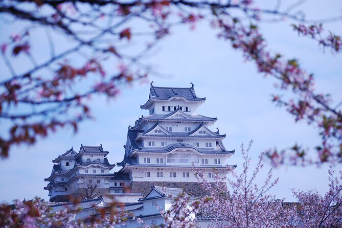 Explore Himeji Castle a Guided Walking Tour - Exploring Himeji Castle a Guided Walking Tour: An Honest Look