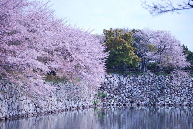 Explore Himeji Castle a Guided Walking Tour - How the Tour Works in Practice
