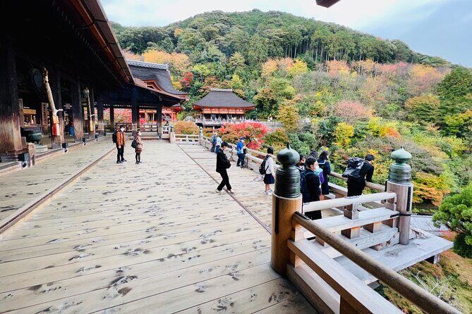 Explore History and Culture in Kyoto - An In-Depth Look at the Tour Itinerary