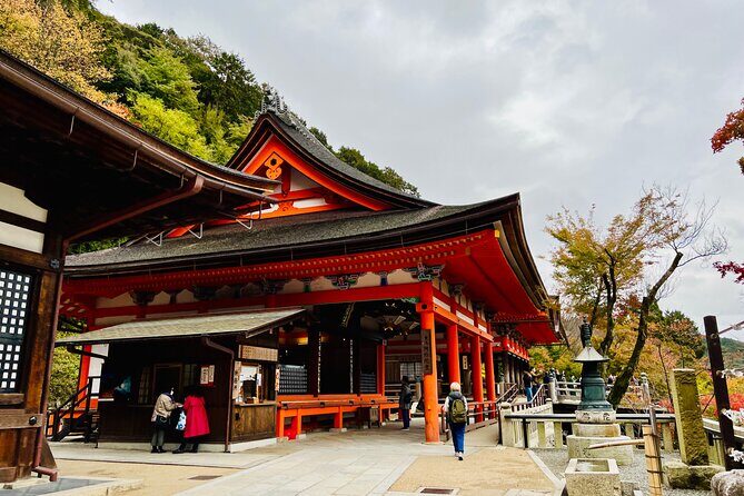 Explore History and Culture in Kyoto - What Past Travelers Say