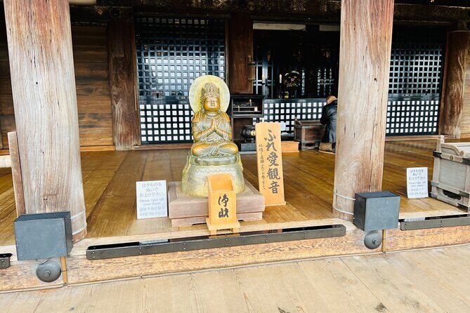 Explore History and Culture in Kyoto - Who Will Love This Tour?