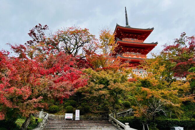 Explore History and Culture in Kyoto - The Sum Up