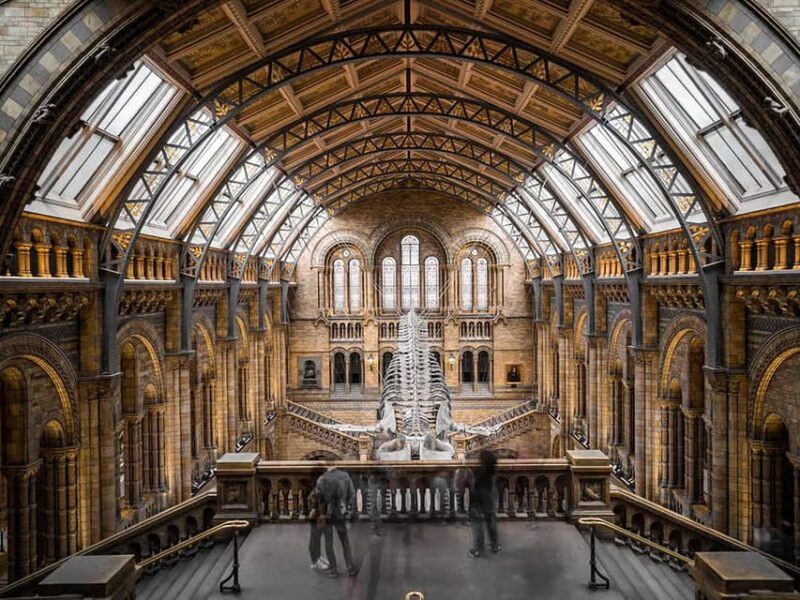 explore-history-british-museums-rosetta-mummies-more