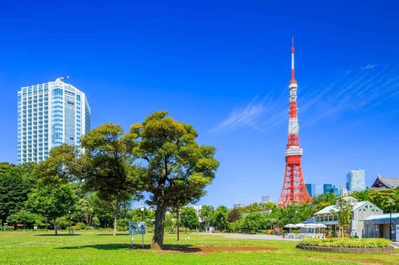 Explore History & Nature: Kamiyacho to Tokyo Tower - An In-Depth Look at the Experience