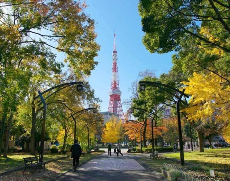 Explore History & Nature: Kamiyacho to Tokyo Tower - Final Thoughts: Who Will Love This Tour?