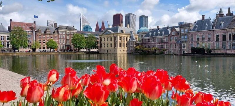 Explore History with a Photoshoot. (Private tour) - Discovering The Hague’s Landmark Tour with a Photoshoot