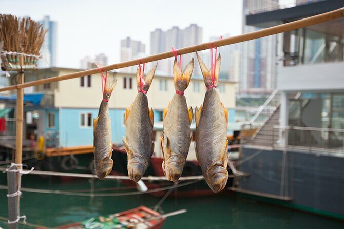 Explore Hong Kong: Aberdeen + Public Housing Estate Group Tour - Final Thoughts: Who Should Consider This Tour?