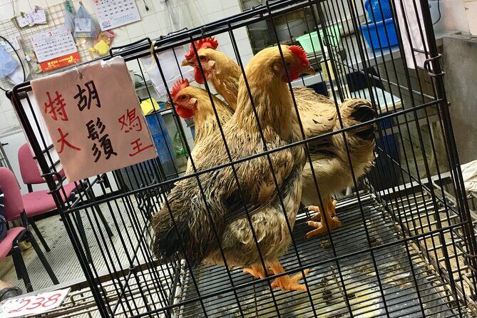 Explore Hong Kong: Sham Shui Po - Every Bit Local! - FAQ