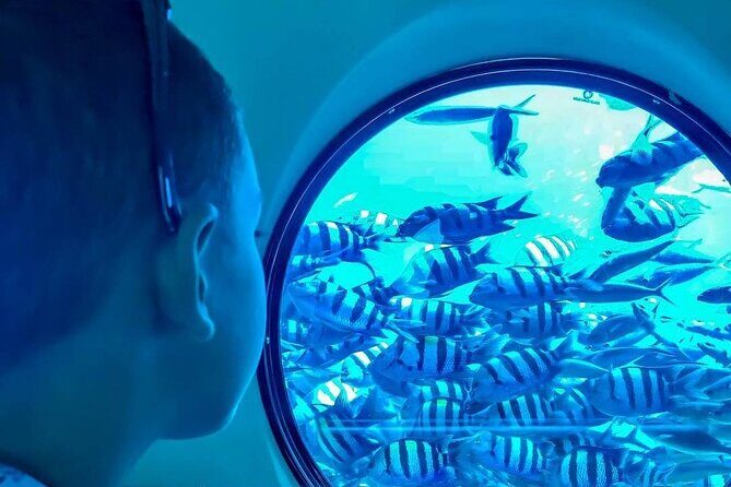Explore Hurghada: Semi-Submarine Tour & Snorkeling  Hurghada - Final Thoughts: Who Should Consider This Tour?