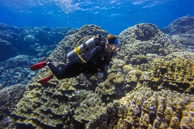 Explore Hurghada Two Thrilling Boat Dives for Certified Divers - What’s Included and What to Consider