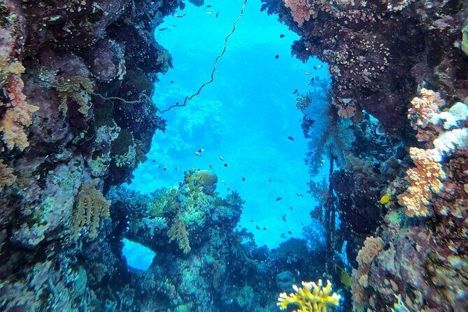 Explore Hurghada Two Thrilling Boat Dives for Certified Divers - Price and Value Analysis