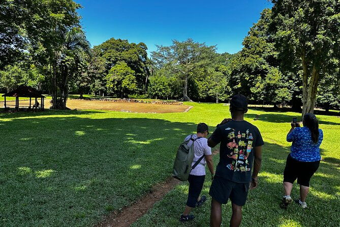 explore-indigenous-roots-with-farm-to-table-meal-and-transport