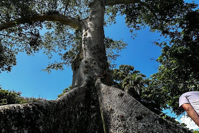 explore-indigenous-roots-with-farm-to-table-meal-and-transport