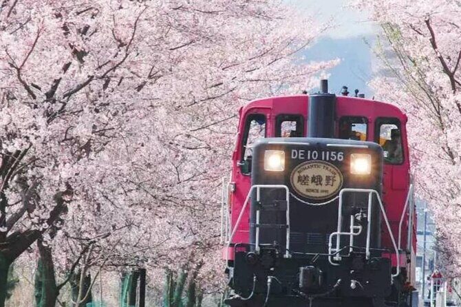 Explore Japan in 7 Days Cherry Blossom Tour 2026 - The Value of a Guided, All-Inclusive Experience