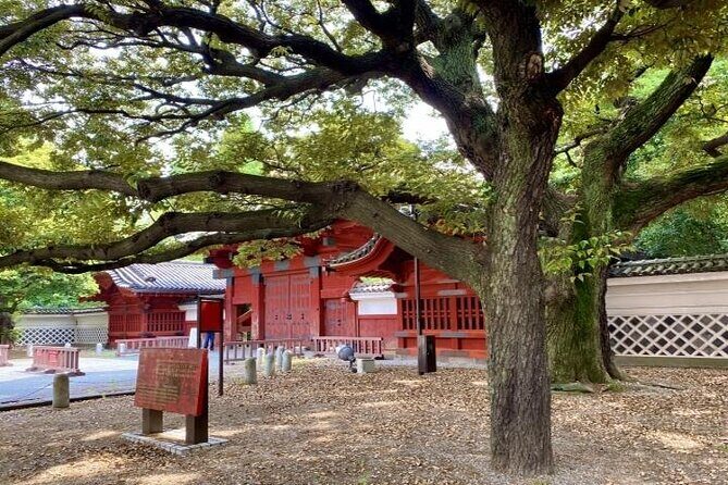 Explore Japans Oldest University by a Walking Tour - A Deep Dive into the Campus Walk Experience