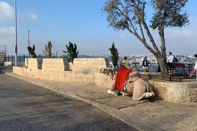 Explore Jerusalem's Old City - Via Dolorosa & Lunch Break