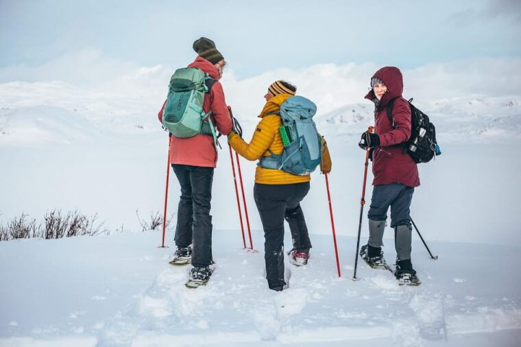 explore-jotunheimen-2-days-with-snowshoeing-and-snowcoach