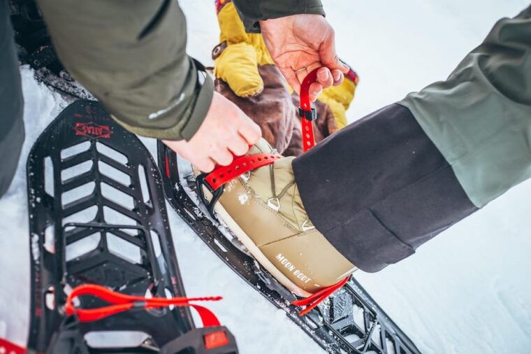 explore-jotunheimen-2-days-with-snowshoeing-and-snowcoach