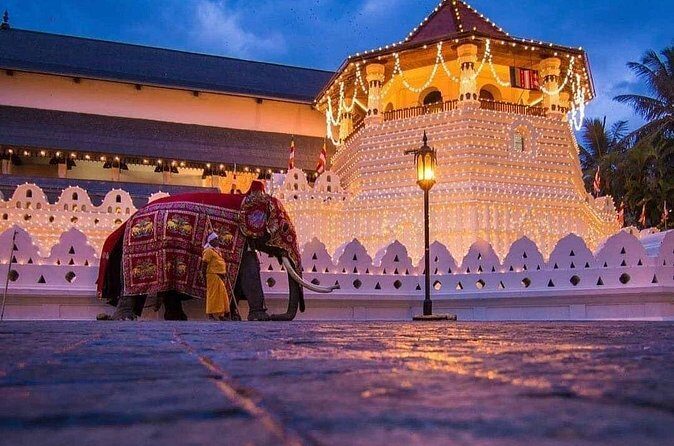 Explore Kandy Day Tour - Who Should Consider This Tour?