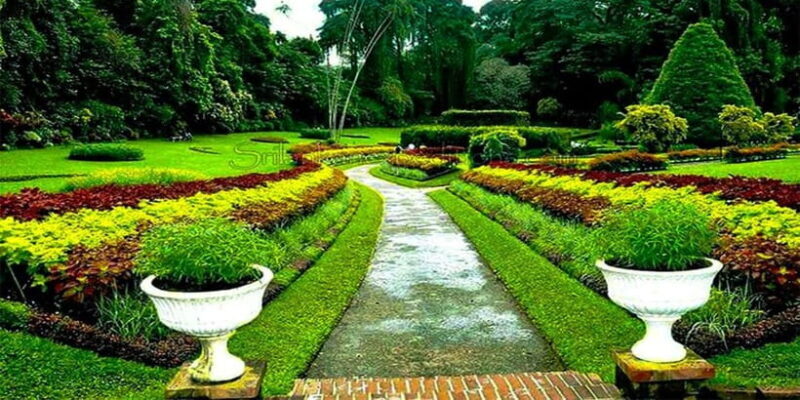 Explore Kandy & Nuwara Eliya in 2 days - The Itinerary Breakdown