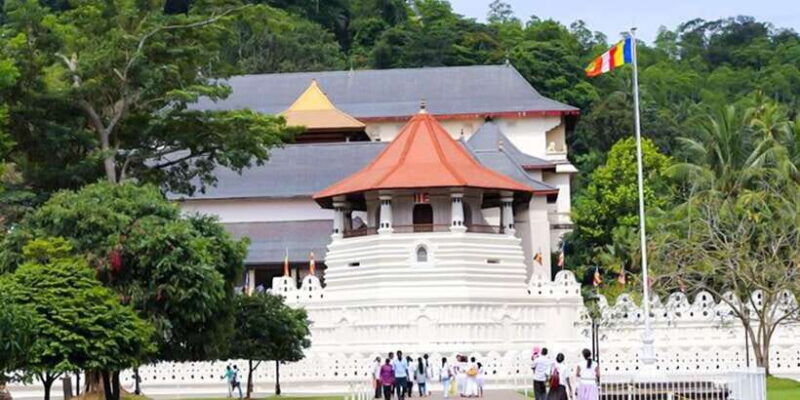 explore-kandy-pinnawala-and-tea-plantation-from-kandy