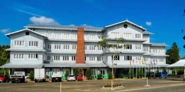 explore-kandy-pinnawala-and-tea-plantation-from-kandy