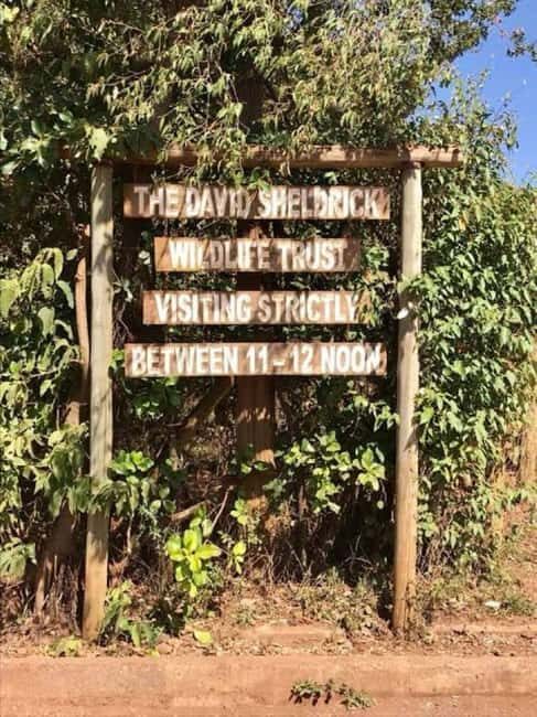 Explore Kenya's history & wildlife! Join me on a journey. - Key Points