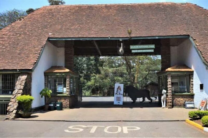 Explore Kenya's history & wildlife! Join me on a journey. - FAQs