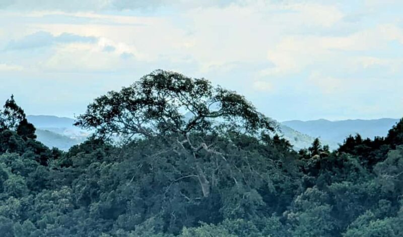 Explore Kep town & the national park hiking include lunch - Exploring Kep Town & the National Park: A Balanced Adventure