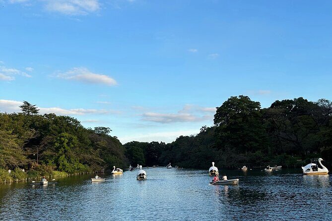 Explore Kichijoji International Anime Film Festival & Guided Tour - Who Will Love This Tour?