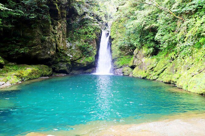 Explore Kochi: private tour by Car with licensed guide - Discovering Kochi’s History: Kochi Castle