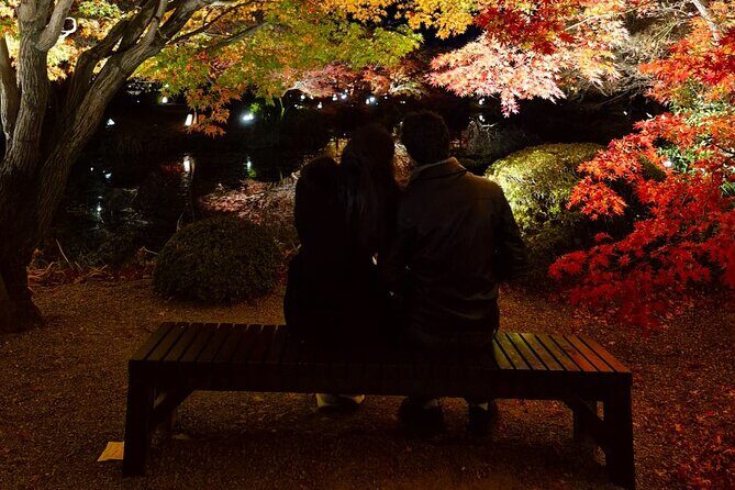 Explore Kyoto in Comfort  Private Car Tour with English Driver - Why Choose a Private Car Tour in Kyoto?