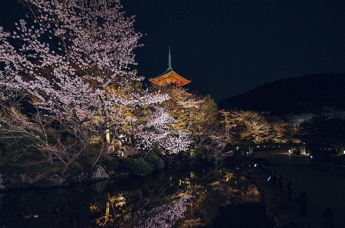 Explore Kyoto in Comfort  Private Car Tour with English Driver - Who Is This Tour Best For?