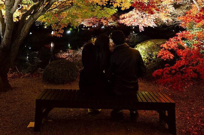 Explore Kyoto in Comfort  Private Car Tour with English Driver - FAQ