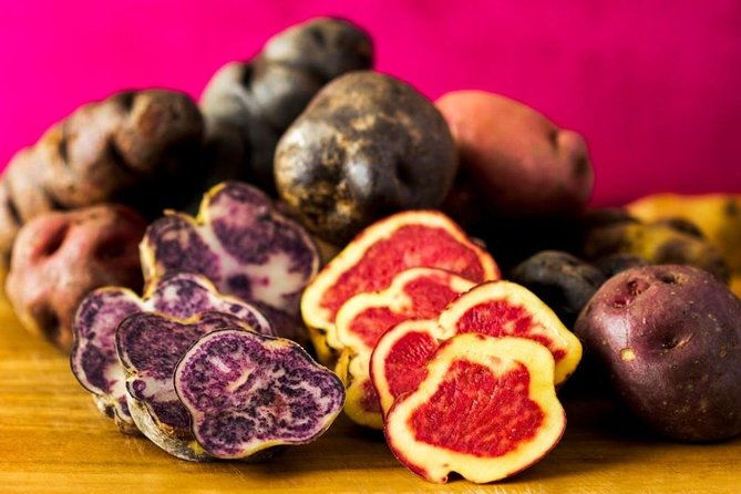 explore-lima-with-ceviche-and-pisco-classes-in-the-historic-center