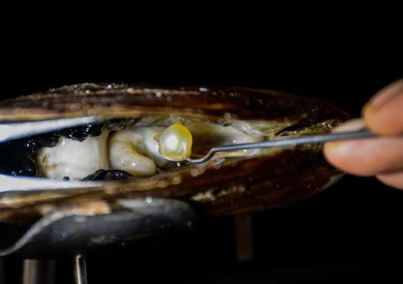 Explore Lomboks Pearl Farm & Pearl-Making Secrets - What Is the Lombok Pearl Farm Tour?