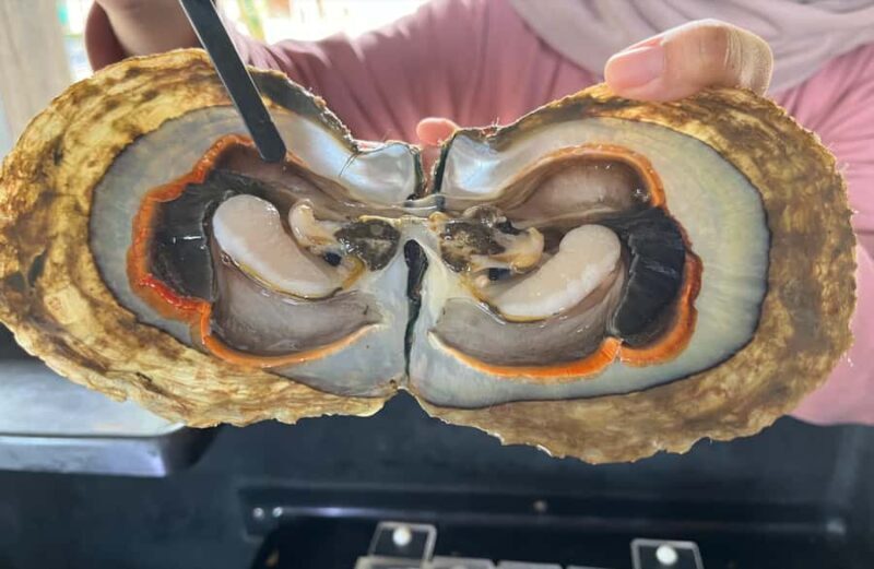 Explore Lomboks Pearl Farm & Pearl-Making Secrets - The Itinerary Breakdown