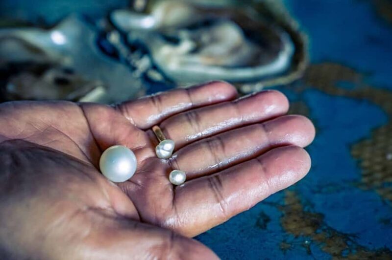 Explore Lomboks Pearl Farm & Pearl-Making Secrets - Price and Value